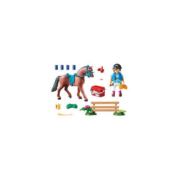 Playmobil Gift Set "Taking care of the horse"