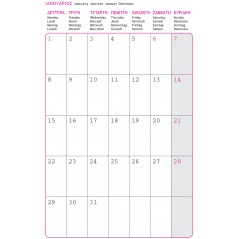 Daily Calendar Rodonit 10x14 Rubber Band Τurquoise 2024