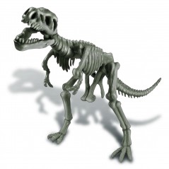 Ανασκαφή Σκελετού Δεινόσαυρου Τυραννόσαυρος-Rex