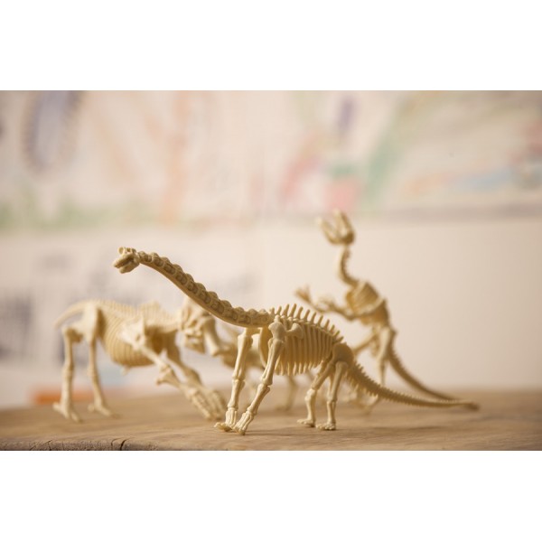 Ανασκαφή Σκελετού Δεινόσαυρου Τρικεράτωψ