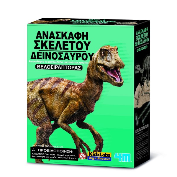 Velosiraptoras Dinosaur Skeleton Excavation
