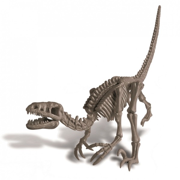 Ανασκαφή Σκελετού Δεινόσαυρου Βελοσιράπτορας