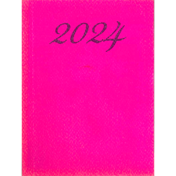 Calendar Daily Carton 10x14 Fuchsia 2024
