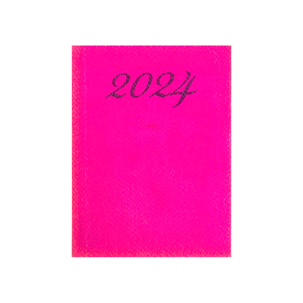 Calendar Daily Carton 10x14 Fuchsia 2024