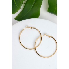 Isabella Stainless Steel Hoops