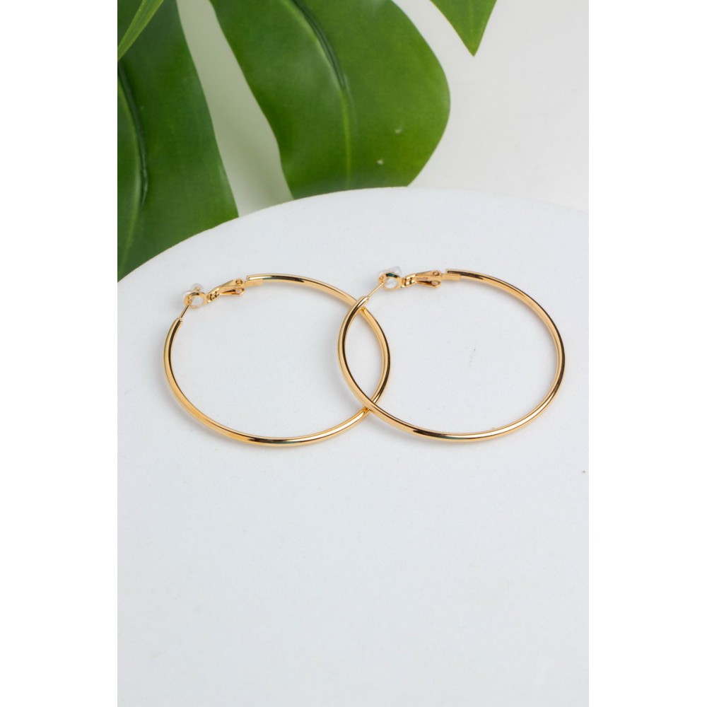 Isabella Stainless Steel Hoops