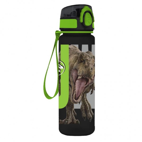 Water Canteen PCTG Jurassic 650ml (570978_2)
