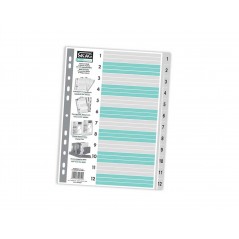 Index P.P. Numerical (1-12) A4 Skag Economy Divider